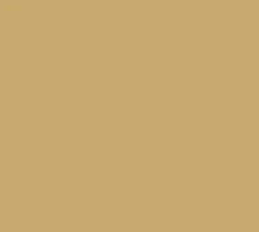 Cambro 1200514 Camtray Round 12" Fiberglass Tray, Earthen Gold Finish, Dishwasher Safe, NSF