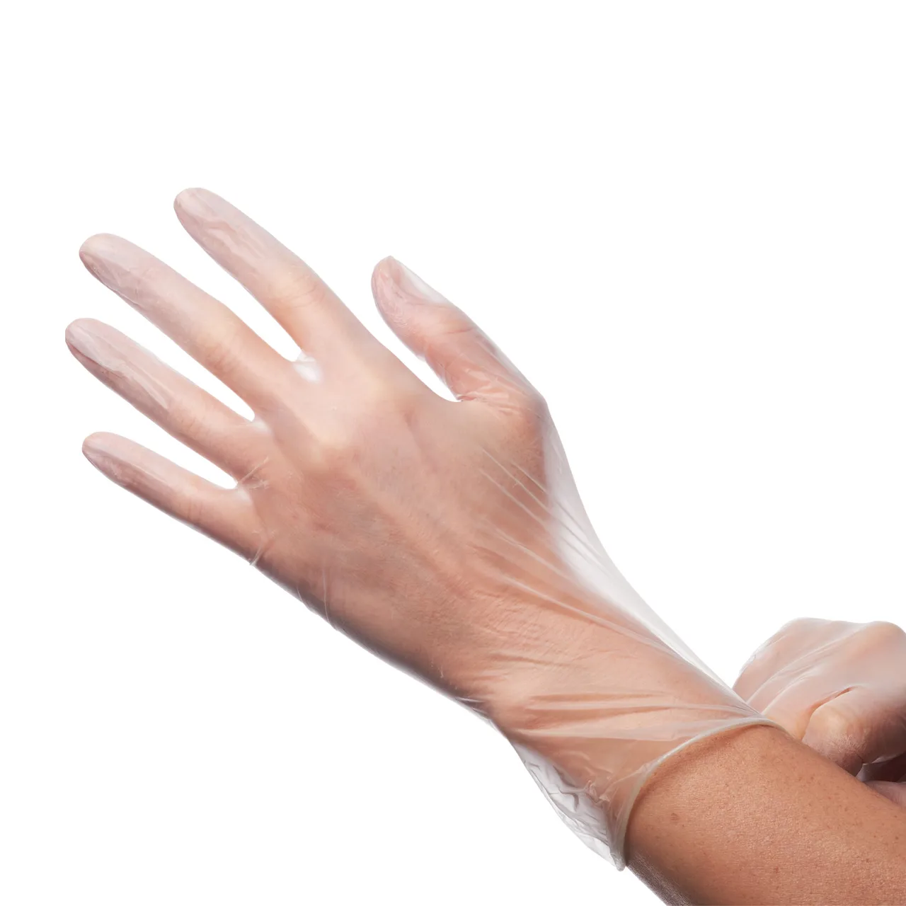 CAC China GLVL-L Disposable Gloves