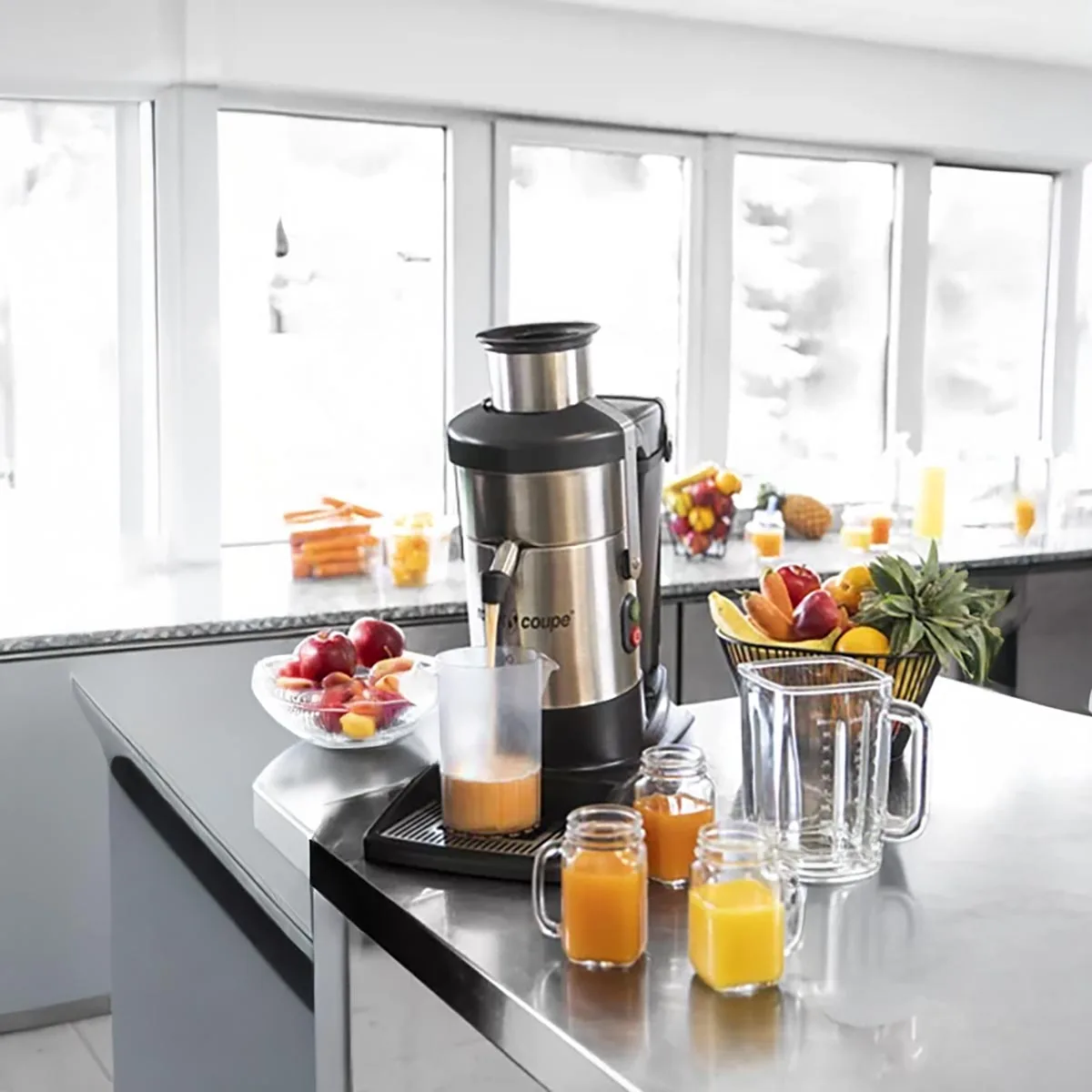 Robot Coupe J100 Table Top Centrifugal Juicer with Continuous Pulp Ejection, Automatic Feed 
