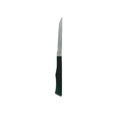 Thunder Group SLSK117 Steak Knife, 4-1/4", Pointed Tip, Serrated Plastic Handle - Dozen