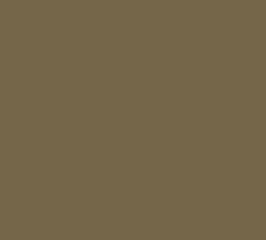Cambro 1216513 Camtray Serving Tray, 12" x 16-5/16" Brown Fiberglass, Dishwasher Safe, NSF