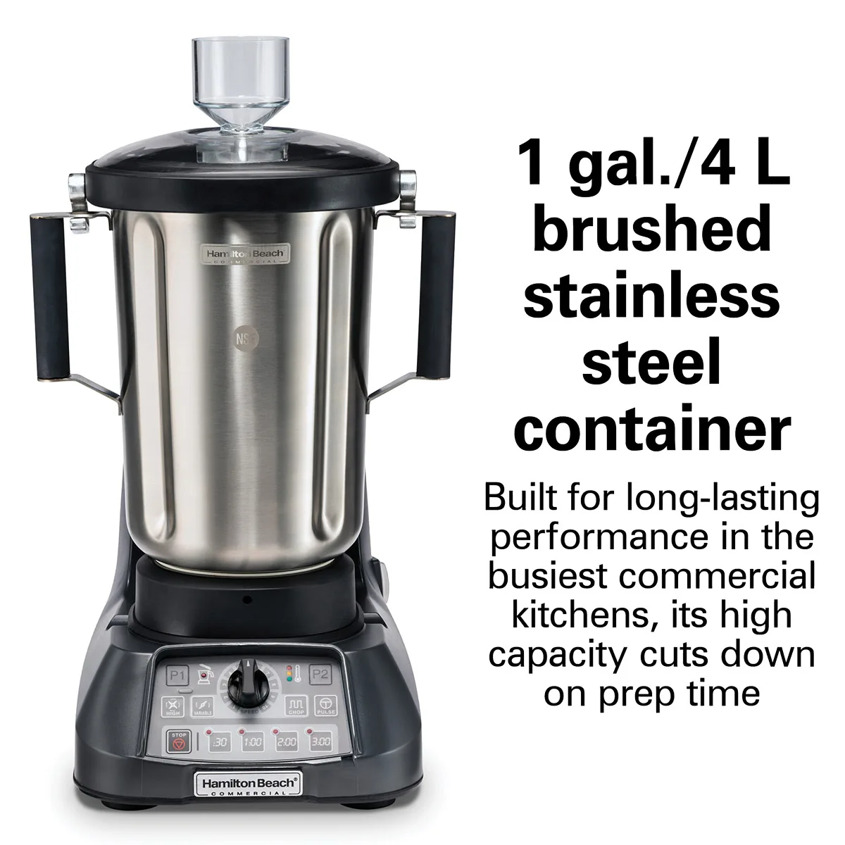 Hamilton Beach HBF1100SR Variable Speed Countertop Food Blender