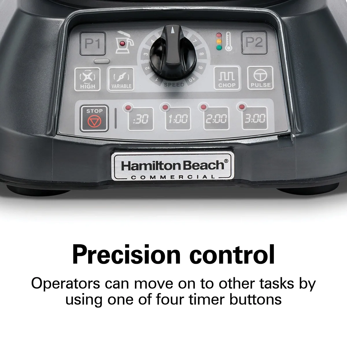 Hamilton Beach HBF1100SR Variable Speed Countertop Food Blender
