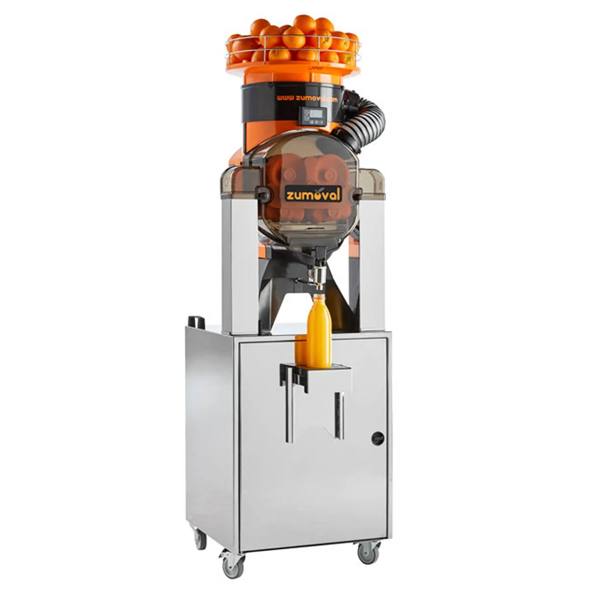 Omcan USA 39522 Zumoval Automatic Feed Citrus Juicer, 28 Oranges/Min-39 lbs Feeder