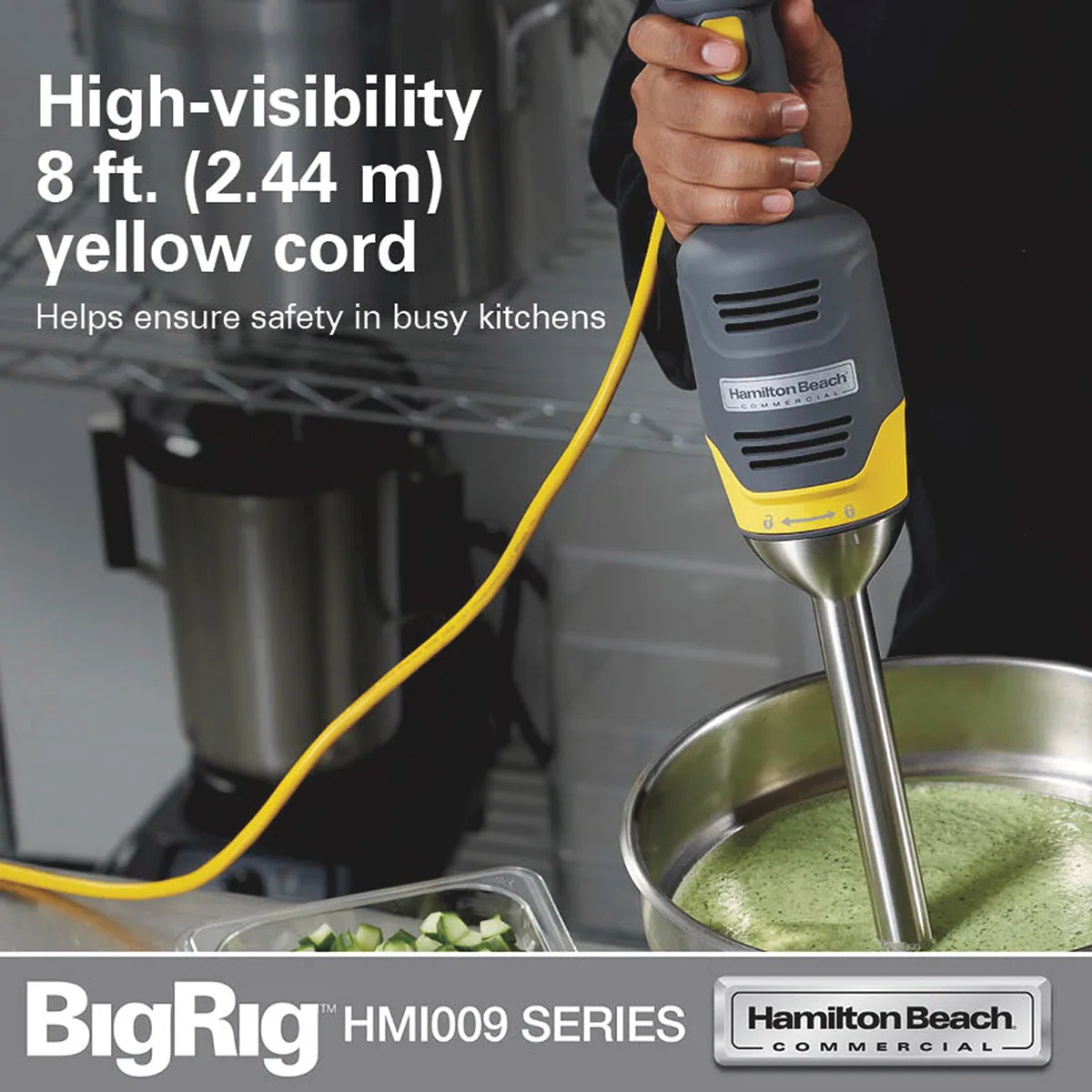Hamilton Beach HMI009 Bigrig™ Immersion Blender Mixer, 3-1/2"W X 21"H