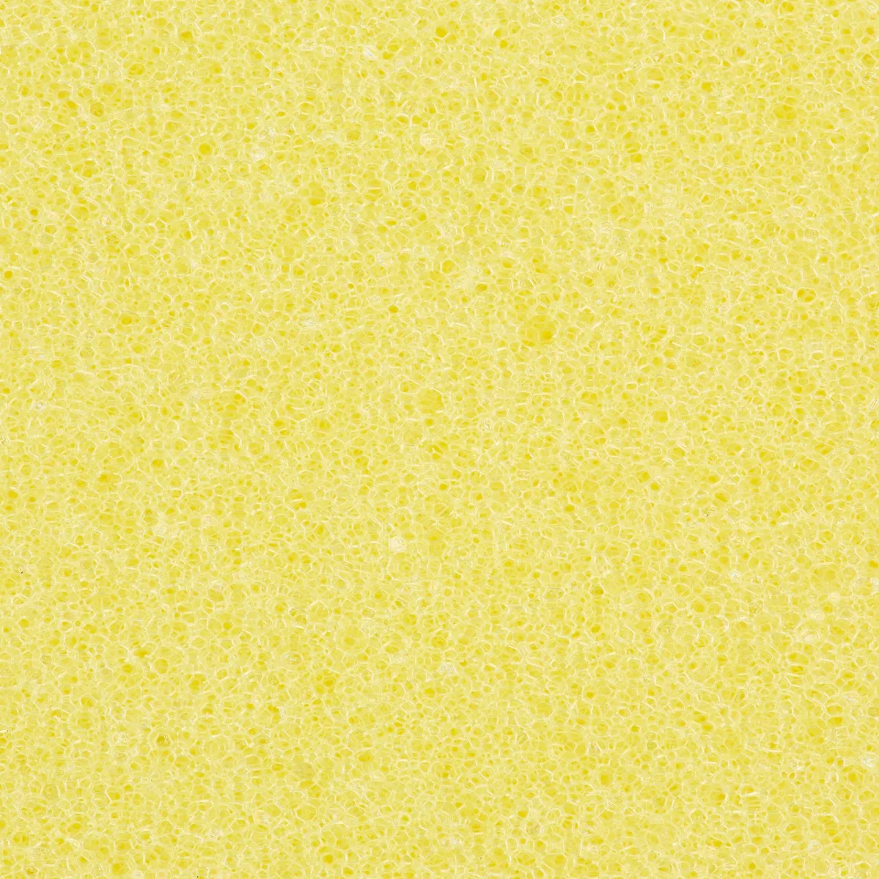 Carlisle 36550100 Sponge
