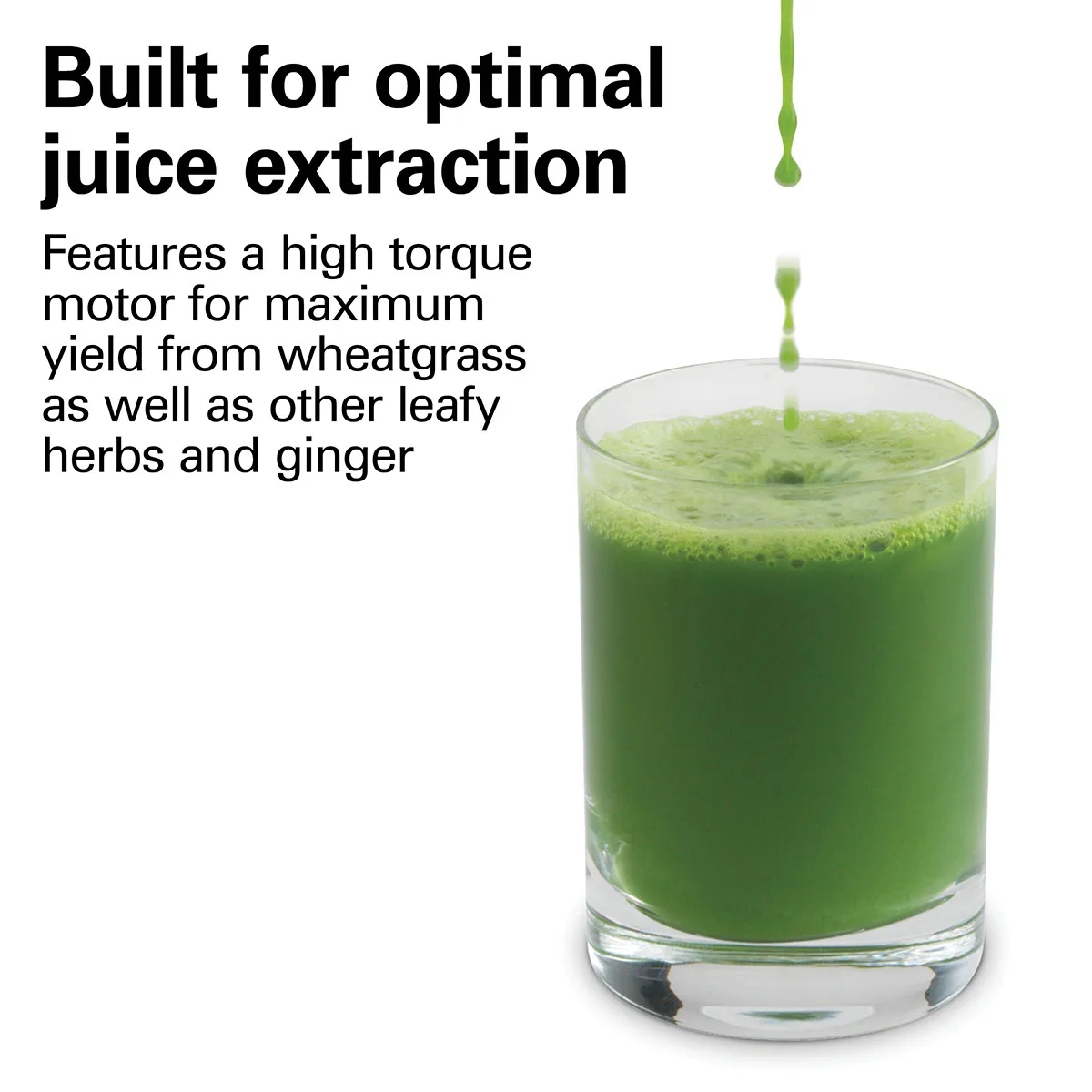 Hamilton Beach HWG800 Wheatgrass Juicer, Electric, 3/8 HP
