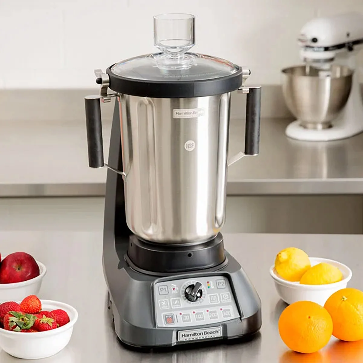 Hamilton Beach HBF1100SR Variable Speed Countertop Food Blender