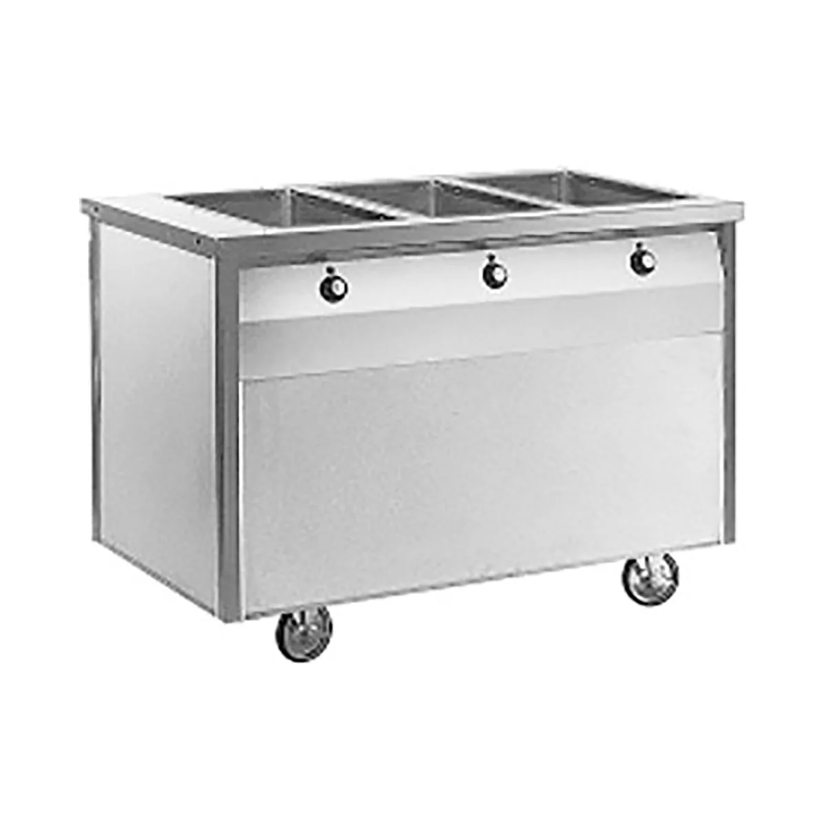 Randell RAN HTD-3 48" Electric Hot Food Table, (3) Hot Food Wells