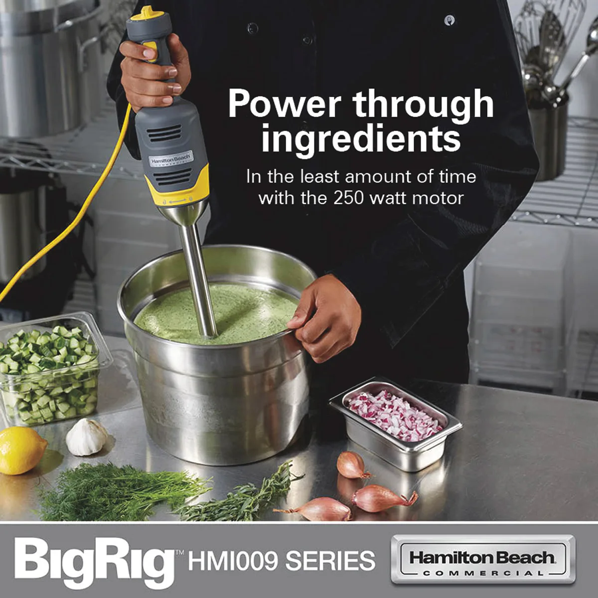 Hamilton Beach HMI009 Bigrig™ Immersion Blender Mixer, 3-1/2"W X 21"H