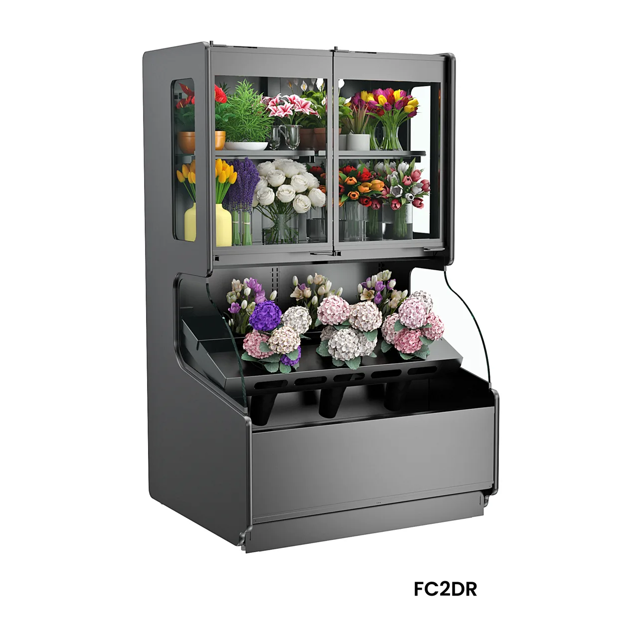 Structural Concepts FC2DR Allure Refrigerated Merchandiser, 50" W
