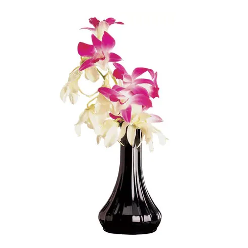Cambro BV6CW110 Bud Vase – 6" Height, Narrow Neck, Black Polycarbonate, NSF, Dishwasher Safe