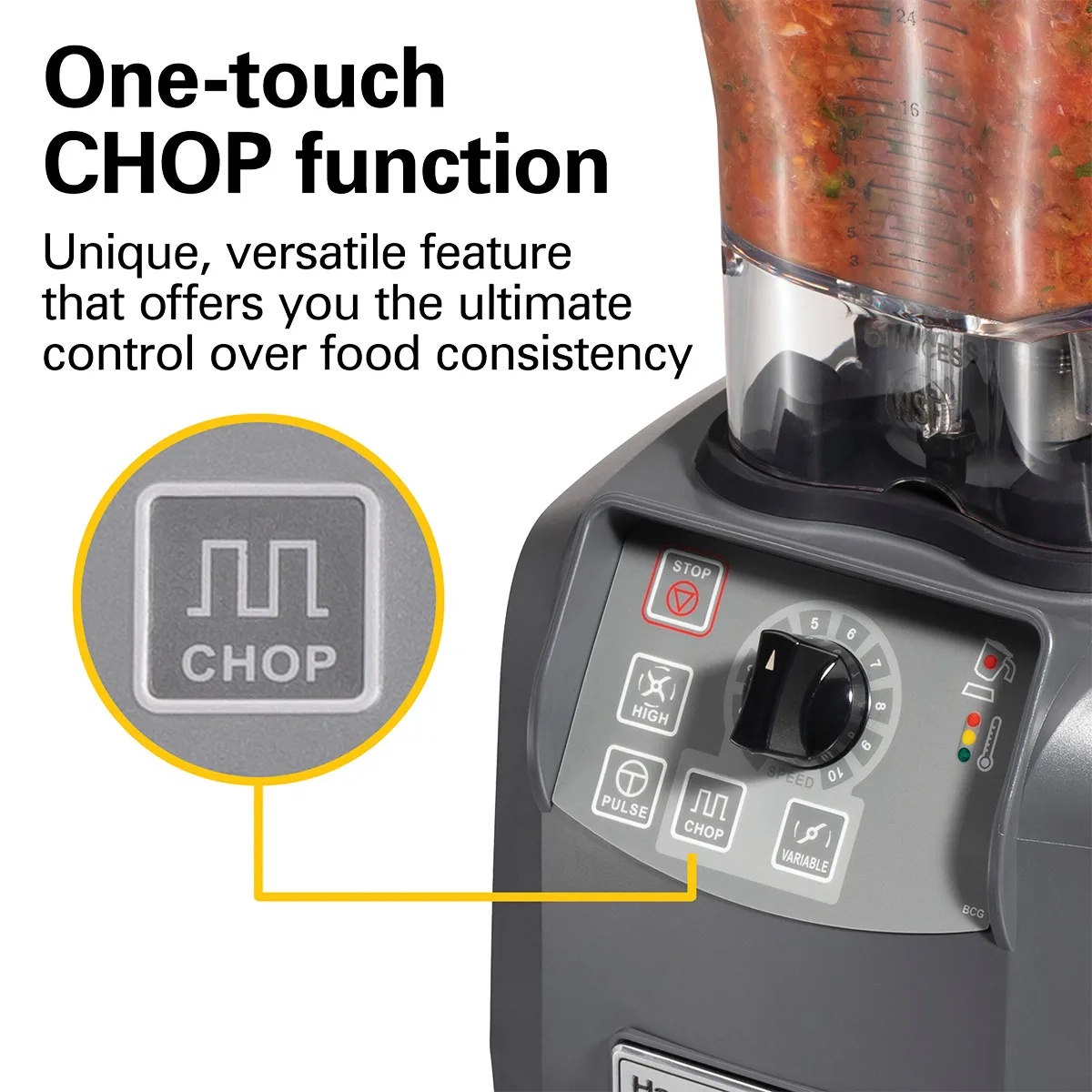 Hamilton Beach HBF600R-CE Countertop Food Blender