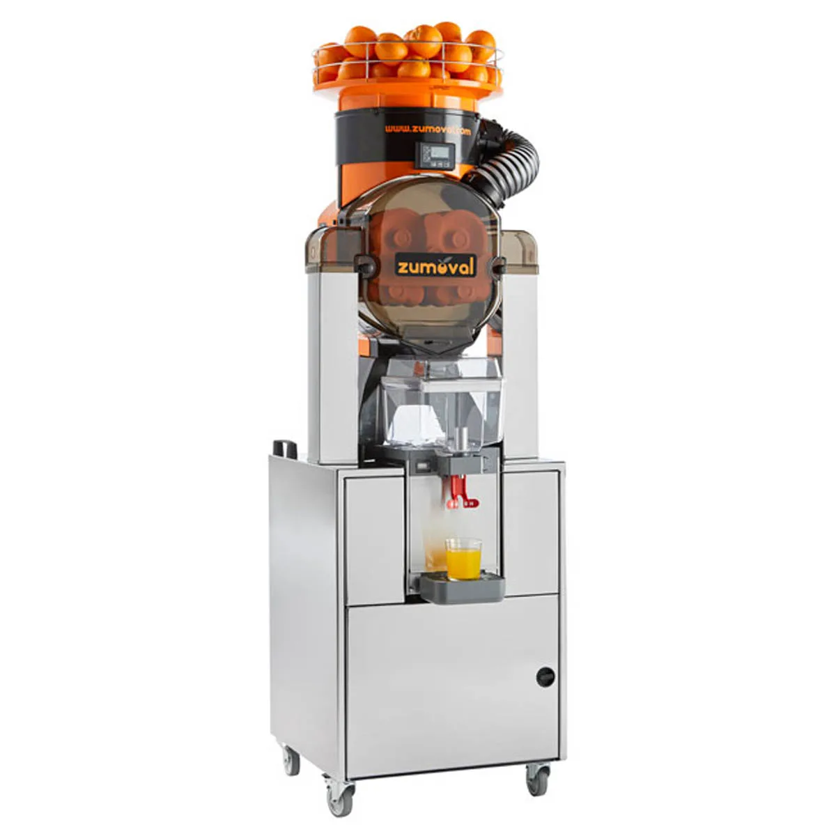 Omcan USA 39522 Zumoval Automatic Feed Citrus Juicer, 28 Oranges/Min-39 lbs Feeder