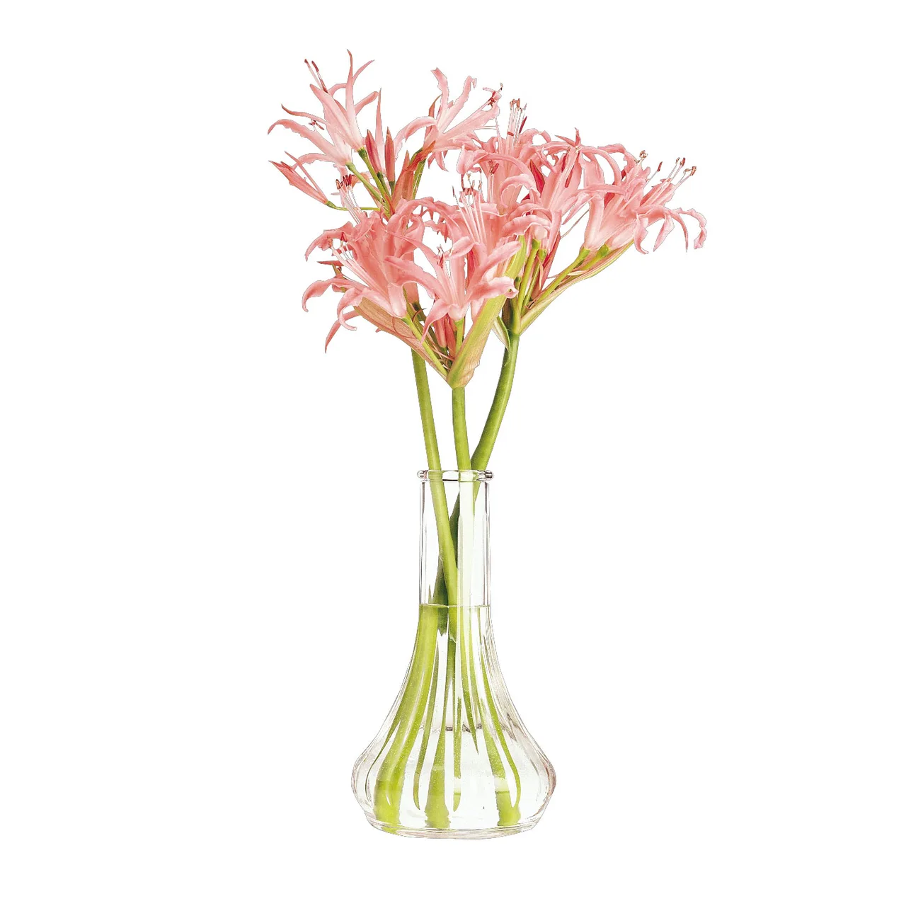 Cambro BV6CW135 Bud Vase – 6" Clear Polycarbonate, NSF‑Certified, Dishwasher Safe, Made in USA